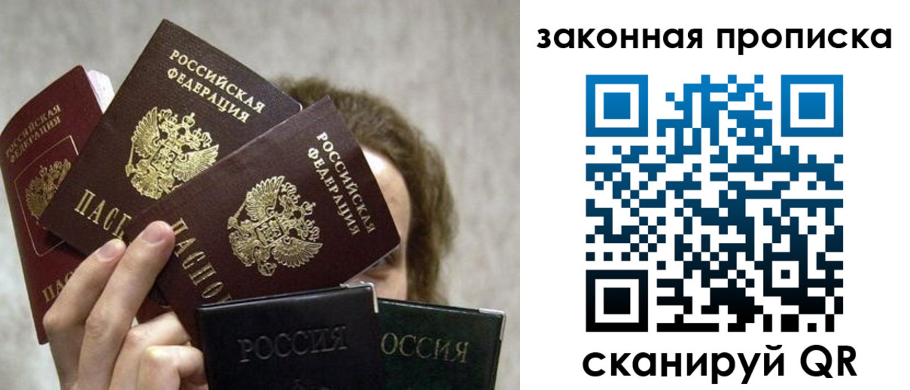 прописка законно в Вязьме